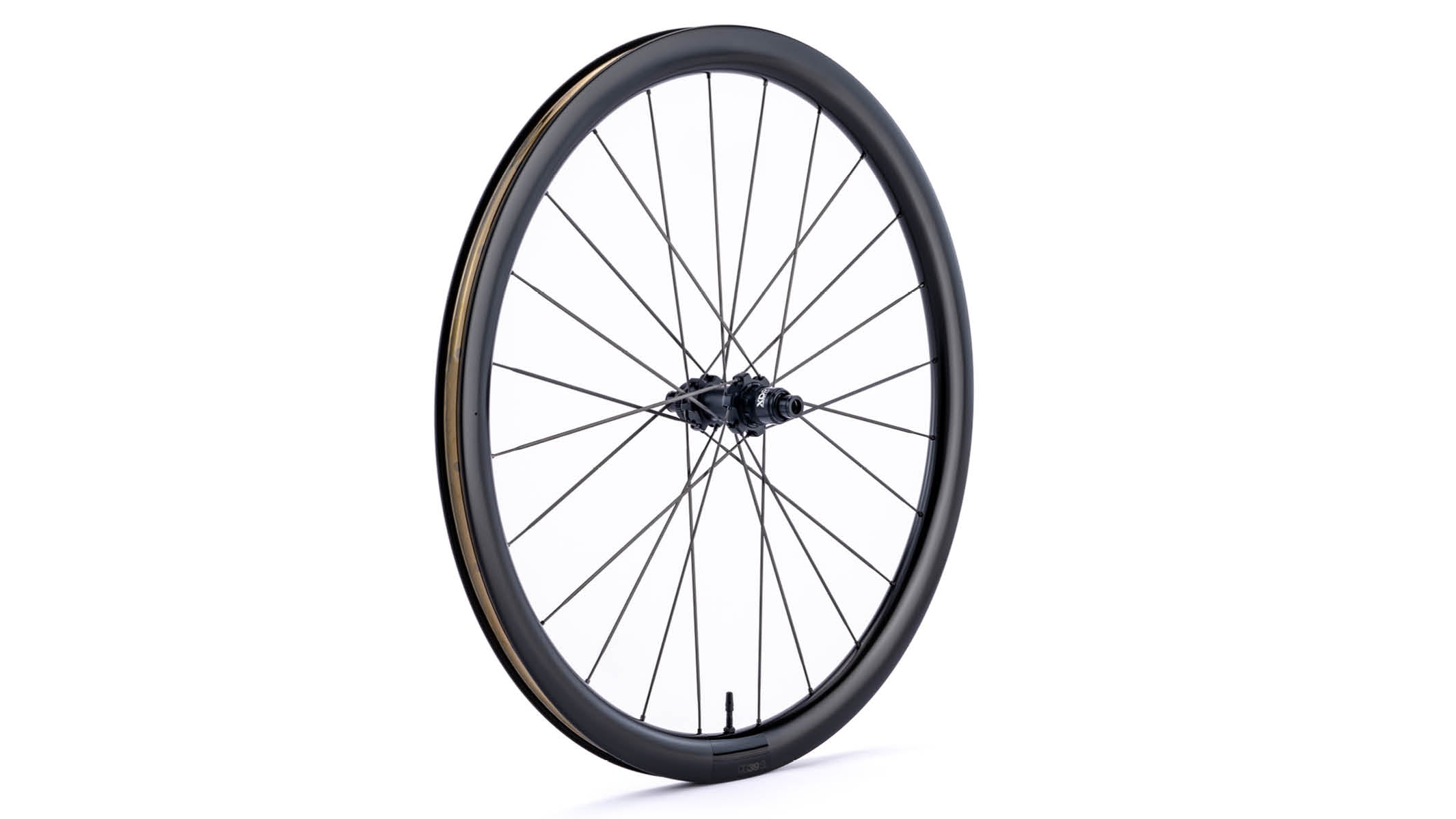 CG 39 SL Rear Wheel